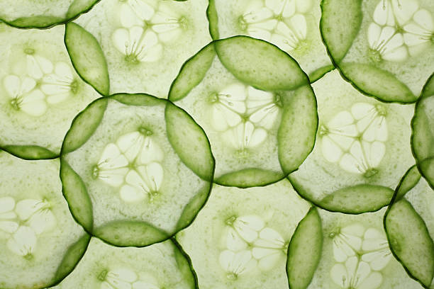 traslúcido rebanadas de los pepinos - cucumber fotografías e imágenes de stock