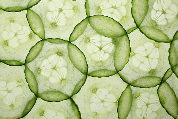 traslucidi fette di cetriolo - cucumber foto e immagini stock