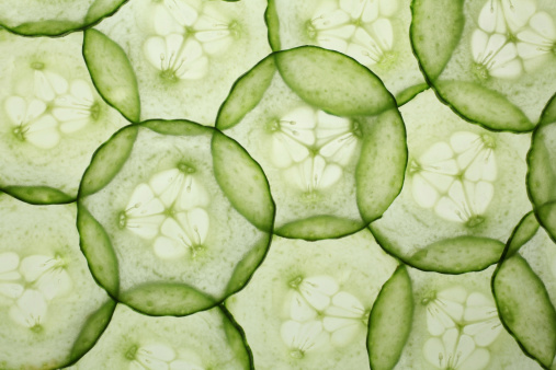 Backlit thin slices of cucumbers. Please see other organic farm pictures :