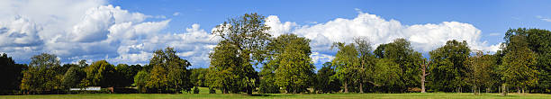 istock country estate 184636641
