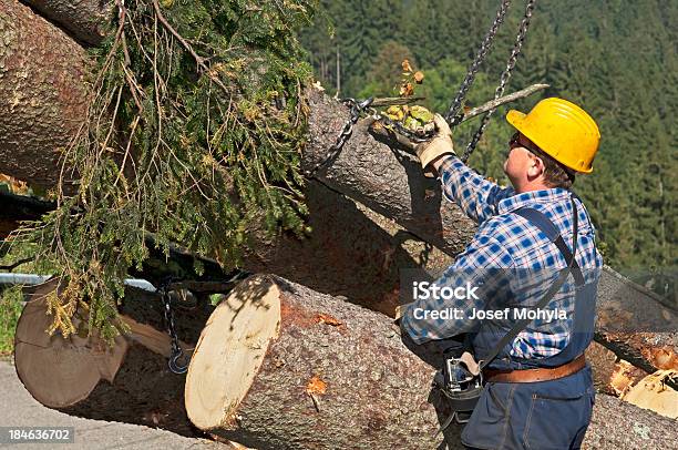 Industria Forestalsistema De Recolección Foto de stock y más banco de imágenes de Industria forestal - Industria forestal, Herramientas profesionales, Cadena - Objeto fabricado