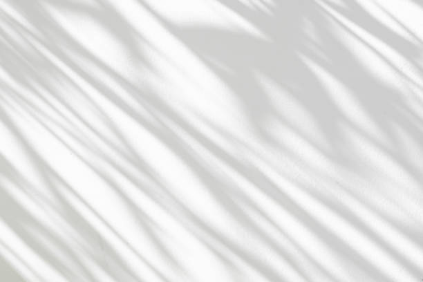 istock Abstract natural tree leaves shadow on white wall background 1846368615
