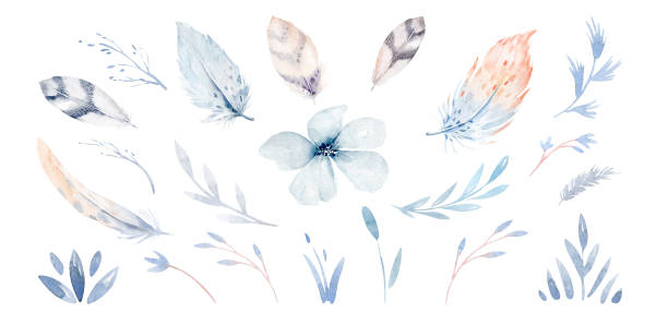 istock watercolor collection with flower, leaves,branches, feather. Hand painted collection Set of floral elements for wedding invitation, design 1846368620