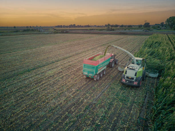 istock aerial view corn harvester chop green silage for cattle blown to wagon pulled by tractor in field 1846368669