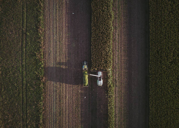 istock aerial view corn harvester chop green silage for cattle blown to wagon pulled by tractor in field 1846368671