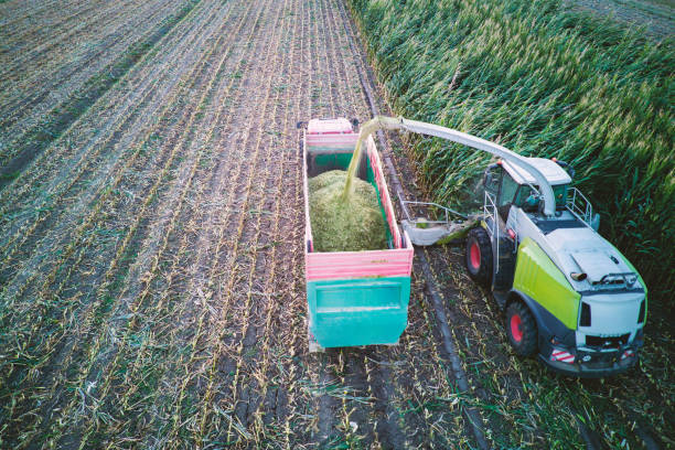 istock aerial view corn harvester chop green silage for cattle blown to wagon pulled by tractor in field 1846368673