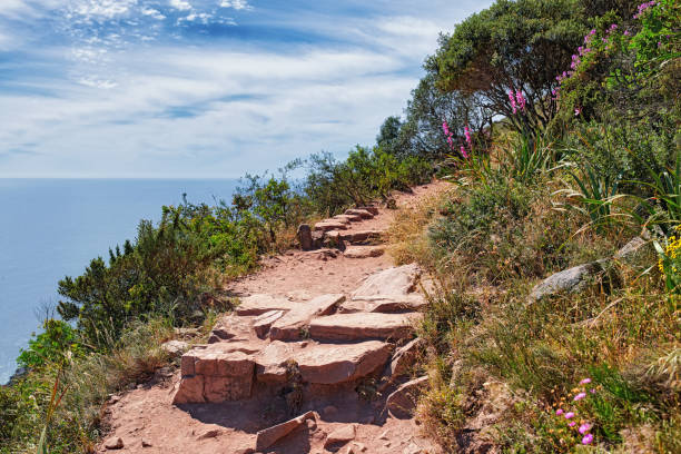 Mountain trails on Lion's Head, Table Mountain National Park, Cape Town, South Africa
