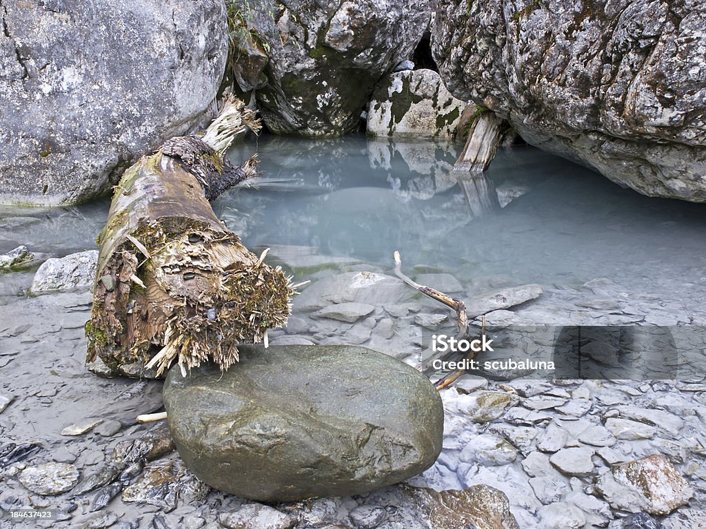Deriva de madera y rocks - Foto de stock de Acostado libre de derechos