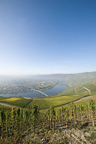 istock Mosel Valley at Piesport, Germany 184638271