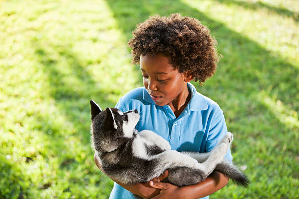 Little boy holding husky puppy