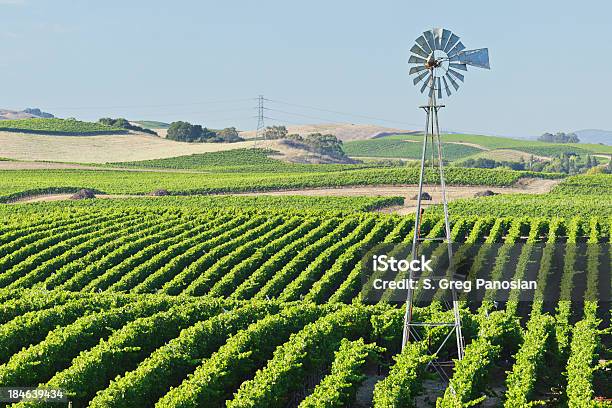 Napa Valley Weingut Stockfoto und mehr Bilder von Carneros-Tal - Carneros-Tal, Hügellandschaft, Napa Valley