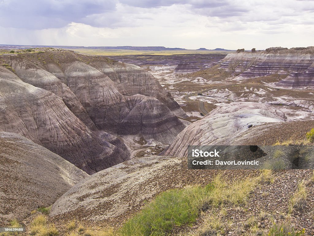 Vista superior del desierto pintado - Foto de stock de Aire libre libre de derechos