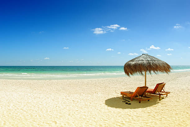 istock Beach with gold sand and blue water 184639771
