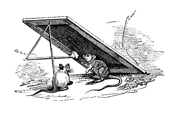 Antique illustration of a mousetrap. Published in American