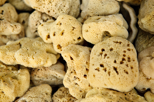 Natural sponges, one of the main trade items of Dodecanese island Kalymnos 