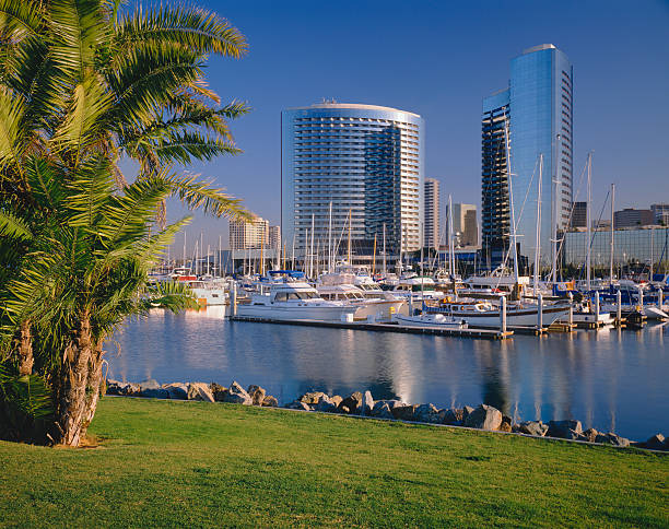 istock San Diego Skyline, California 184640912