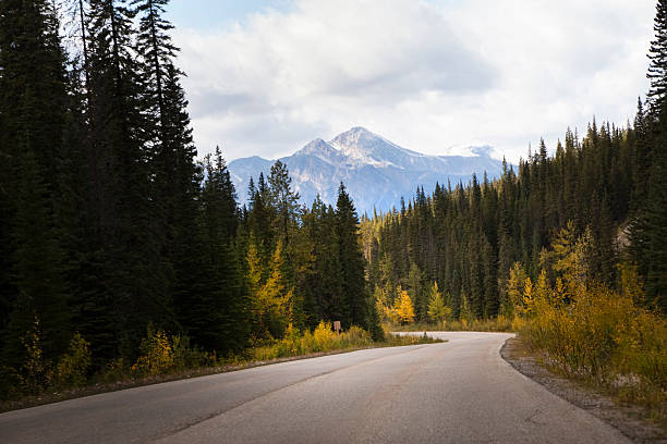 istock Road through scenic countryside near Jasper, Canada 184641115