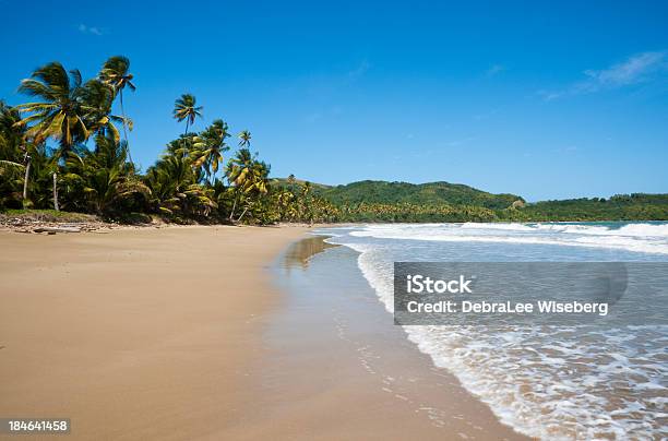 Low Tide On The Atlantic Stock Photo - Download Image Now - Tobago, Beach, Absence