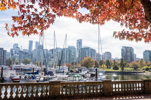 Stanley Park on a sunny autumn afternoon. Downtown skyline in the background, Vancouver.