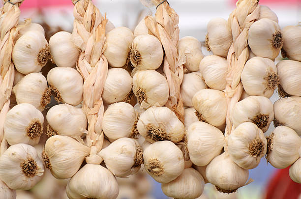 Garlic Braids stock photo