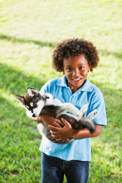 istock Little boy holding husky puppy 184641930
