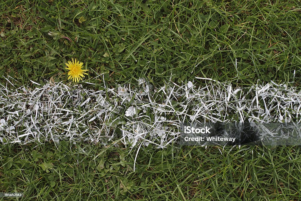 Beyond this chalk line is out of play soccer field Chalk baseline on a football / soccer field in Merton, England. Beyond this line, the ball is out. The long grass and the yellow dandelion (Taraxicum) flower indicate that this is not a tennis court, where grass is kept short and weeds are not tolerated. Authority Stock Photo