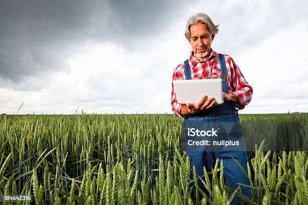 Foto de Agricultor Vender Sua Cultura Através Da Internet e mais fotos de stock de 50 Anos - 50 Anos, Adulto, Agricultor