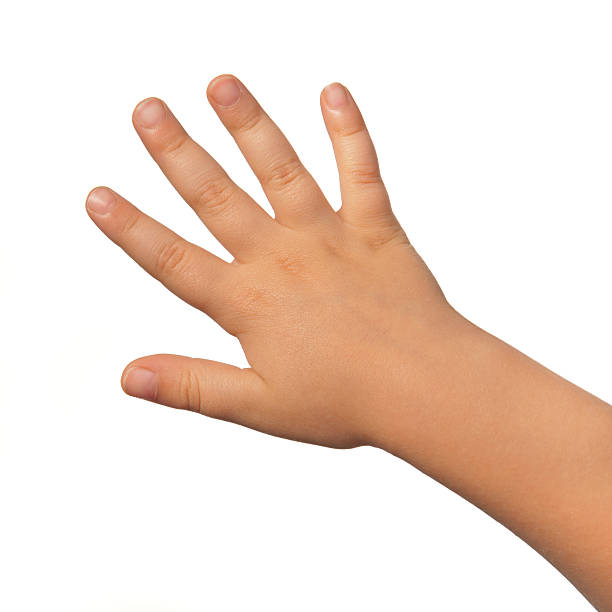 istock Back open right hand of a child on white background 184642984