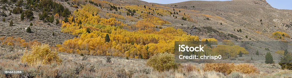 Vue panoramique de couleurs d'automne - Photo de Automne libre de droits