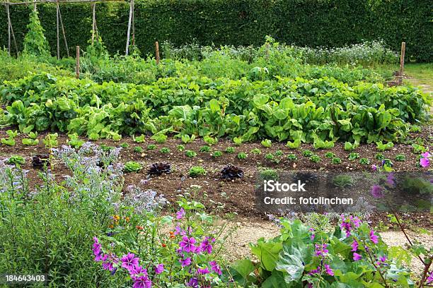 Big Gemüsegarten Stockfoto und mehr Bilder von Gemüsegarten - Gemüsegarten, Hausgarten, Groß
