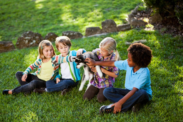 istock Multiracial children with husky puppy 184643537