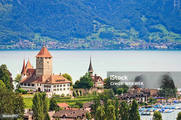 Замок Spiez Озеро Thun Berner Оберланд Швейцария — стоковые фотографии и другие картинки Lake Thun