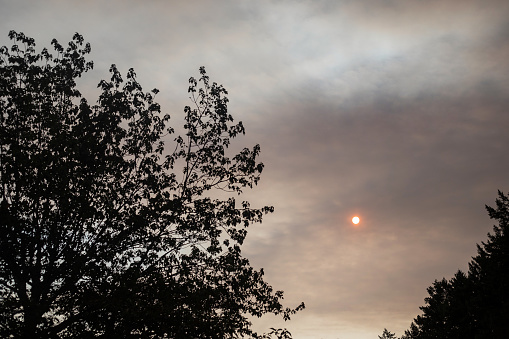 Smokey sky from provincial wildfires over the Strait of Georgia