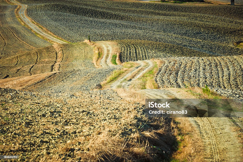 Ciclista Country Road em Val D'Orcia, Toscana - Foto de stock de Acessibilidade royalty-free