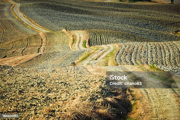 Foto de Ciclista Country Road Em Val Dorcia Toscana e mais fotos de stock de Acessibilidade - Acessibilidade, Agricultura, Ausência