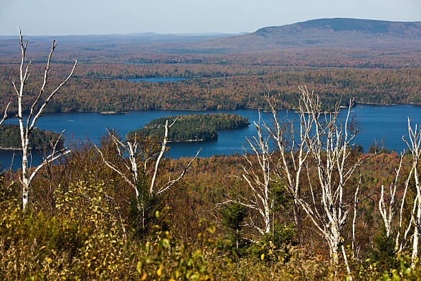 Tupper Photo 130+ Tupper Lake Photos Stock Photos, Pictures & Royalty-Free Images ...