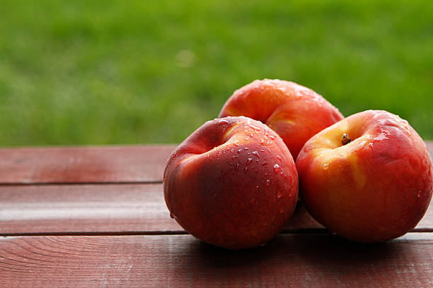 tre nectarines sul tavolo - peach nectarine wet drop foto e immagini stock