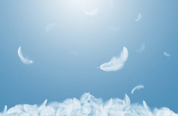 istock Abstract White Bird Feathers Falling on Floor. Softness of Floating Feathers in Blue Sky. 1846443169