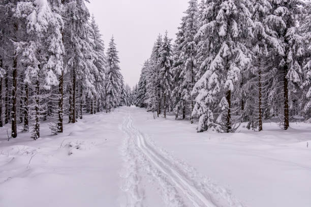 istock Short winter hike through deep snow in the Thuringian Forest near Oberhof 1846443182