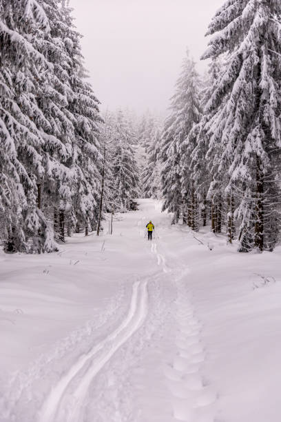 istock Short winter hike through deep snow in the Thuringian Forest near Oberhof 1846443199