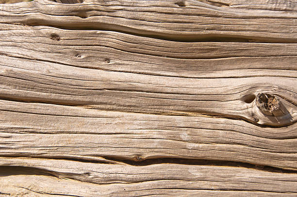 Textura de madeira - fotografia de stock