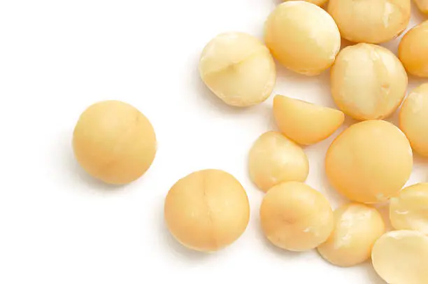 Macademia nuts scattered across a white background.