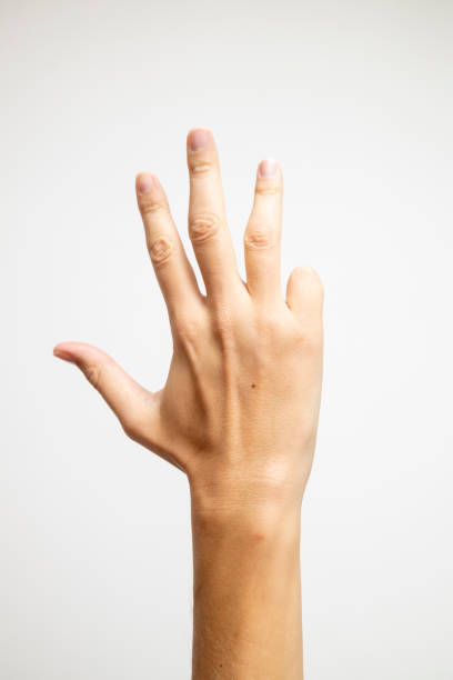 istock A hand displaying four fingers against a white background. 1846448657