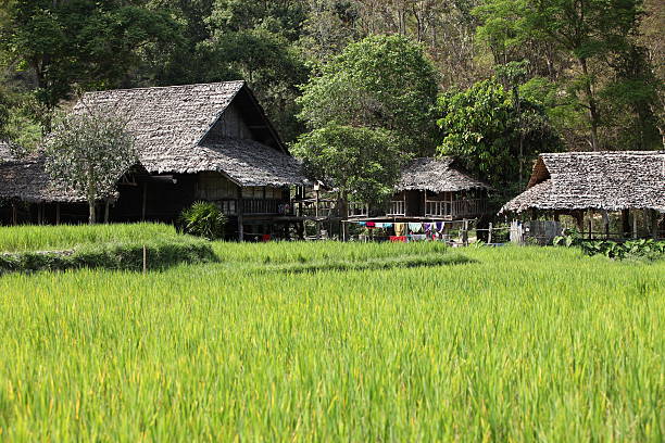 istock Traditional Thai village 184644926