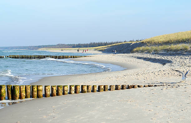 mar baltico beach - bohlen foto e immagini stock