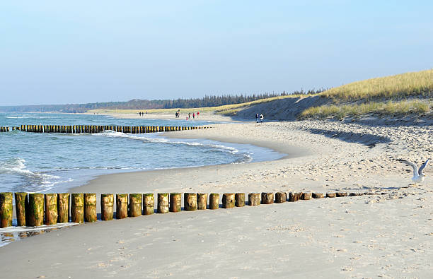 балтийское море, �и пляж - bohlen стоковые фото и изображения