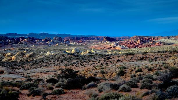 istock Valley of Fire State Park 1846458104