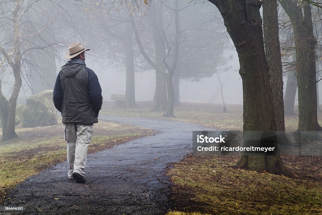 Solitario Walker fa strada lungo la nebbia inverno percorso - Foto stock royalty-free di Abiti pesanti