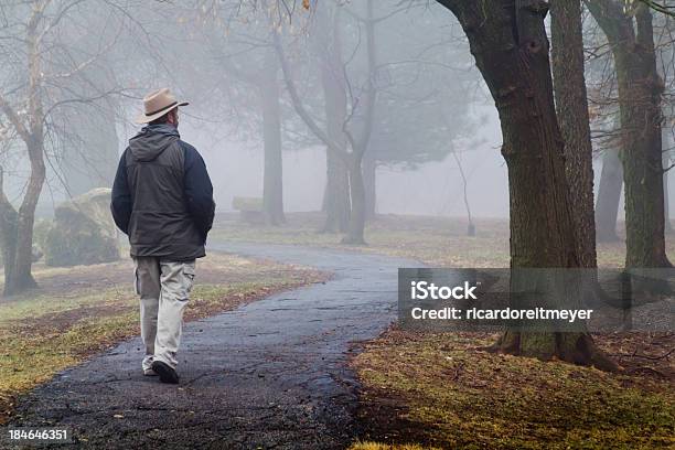 Solitario Walker Fa Strada Lungo La Nebbia Inverno Percorso - Fotografie stock e altre immagini di Abiti pesanti