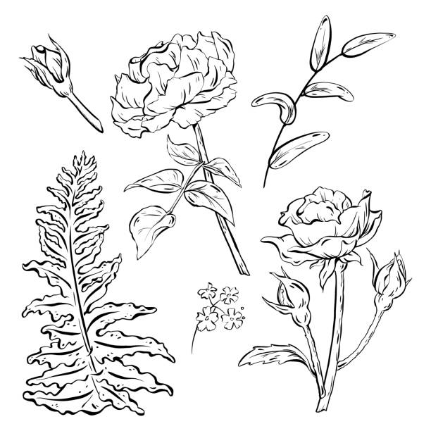 Woodland & Wildflowers Flowers & Leaves Black Woodland & Wildflowers Flowers & Leaves Black